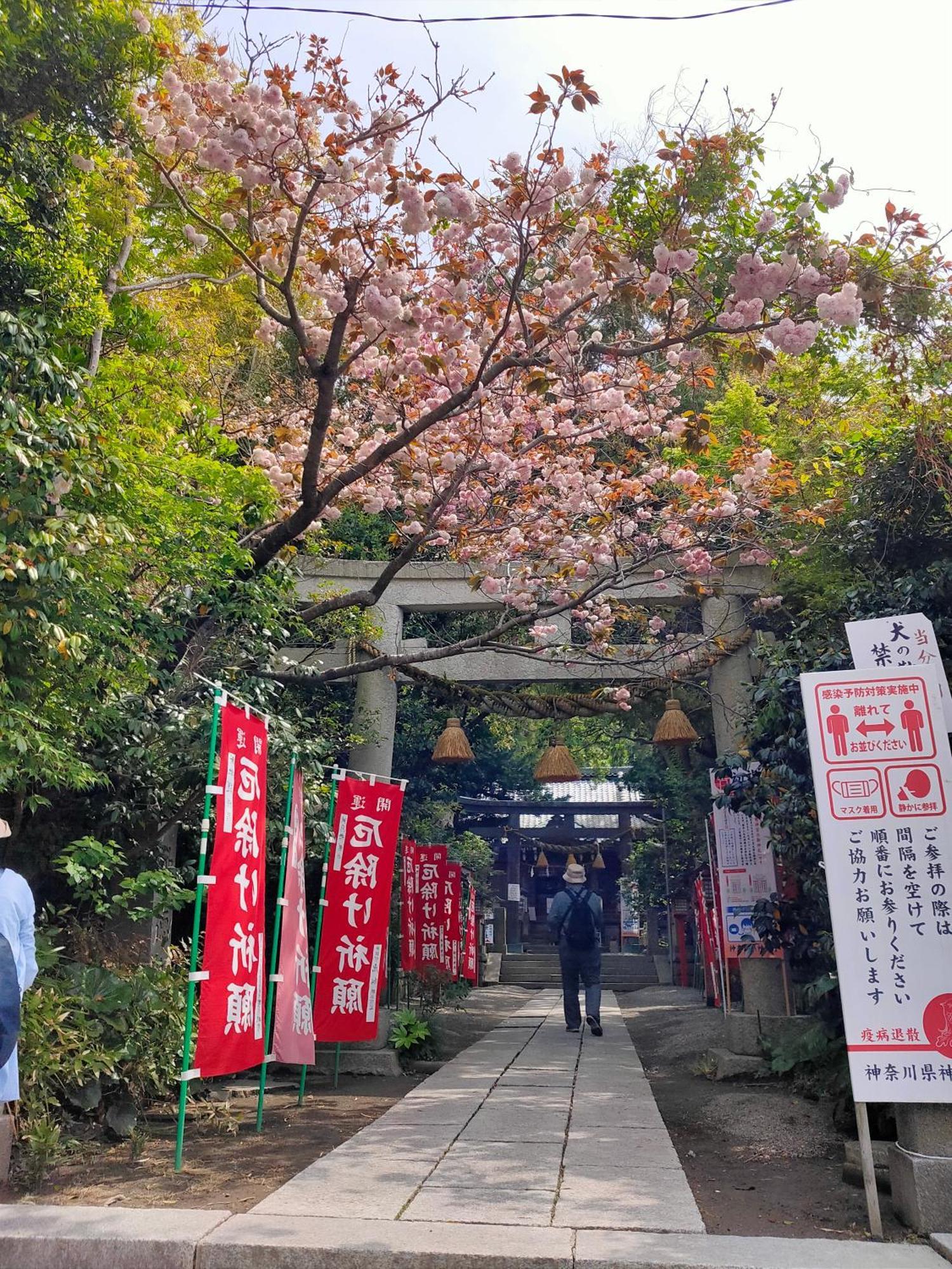 Jiro De Kamakura Leilighet Eksteriør bilde